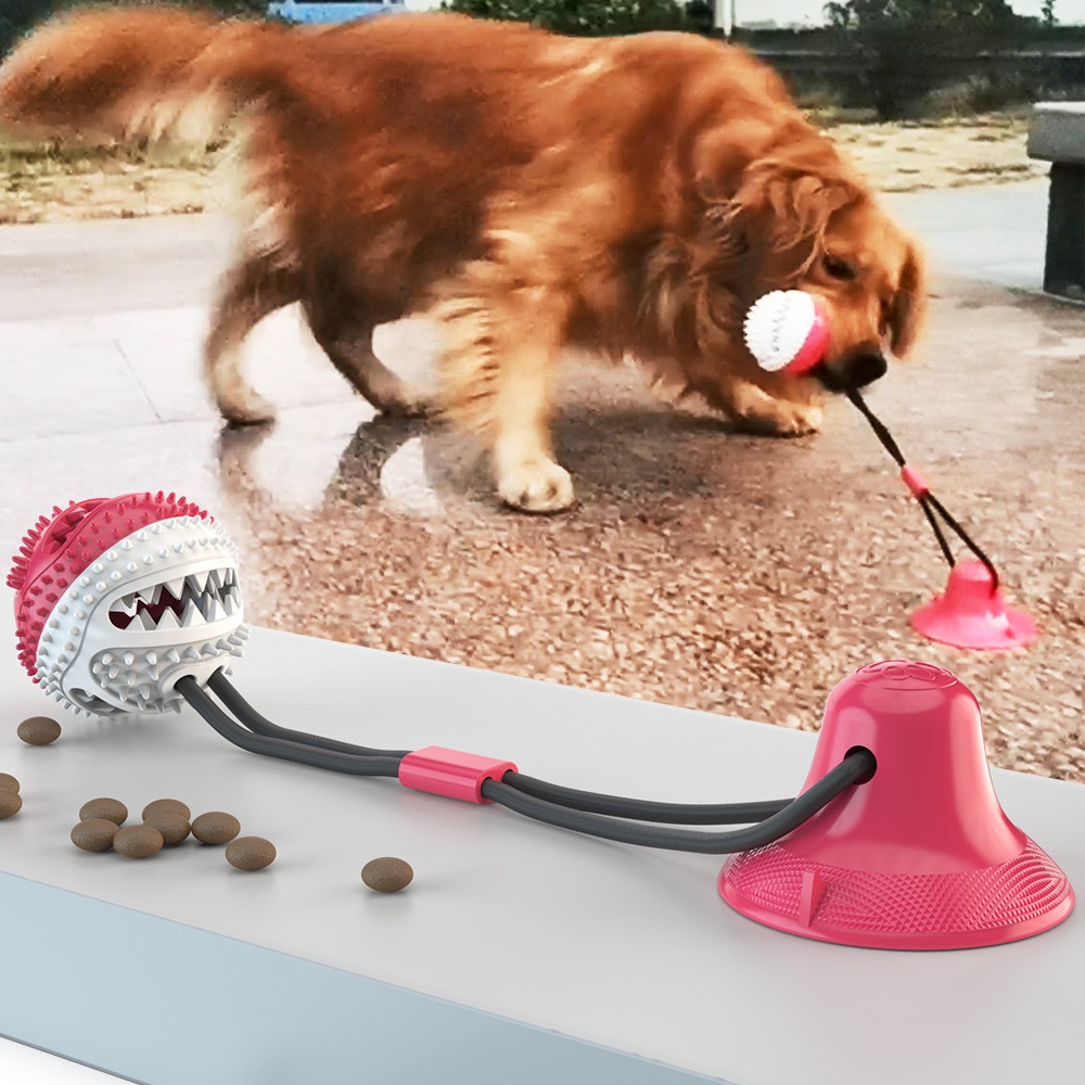 Bola de Brinquedo Interativa Molar Slow Food com Vazamento para Cachorro Golden Retriever e Labrador.