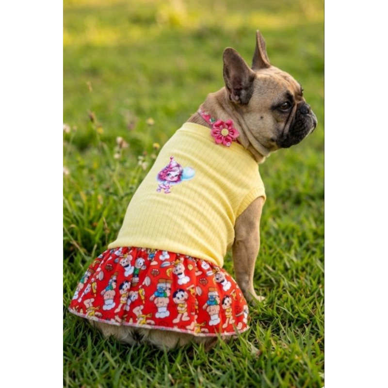 Roupas para pet